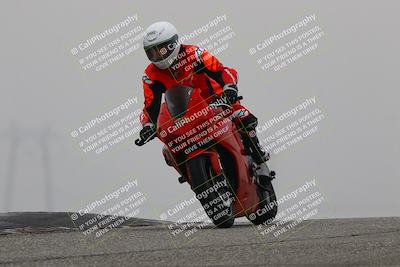 media/Nov-30-2025-TrackDaz (Sun) [[d8b22663df]]/C Group/Session 3 (Grapevine)/